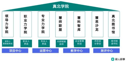 薪人薪事線上沙龍 以數字化創新技術為引擎，驅動學習型組織構建